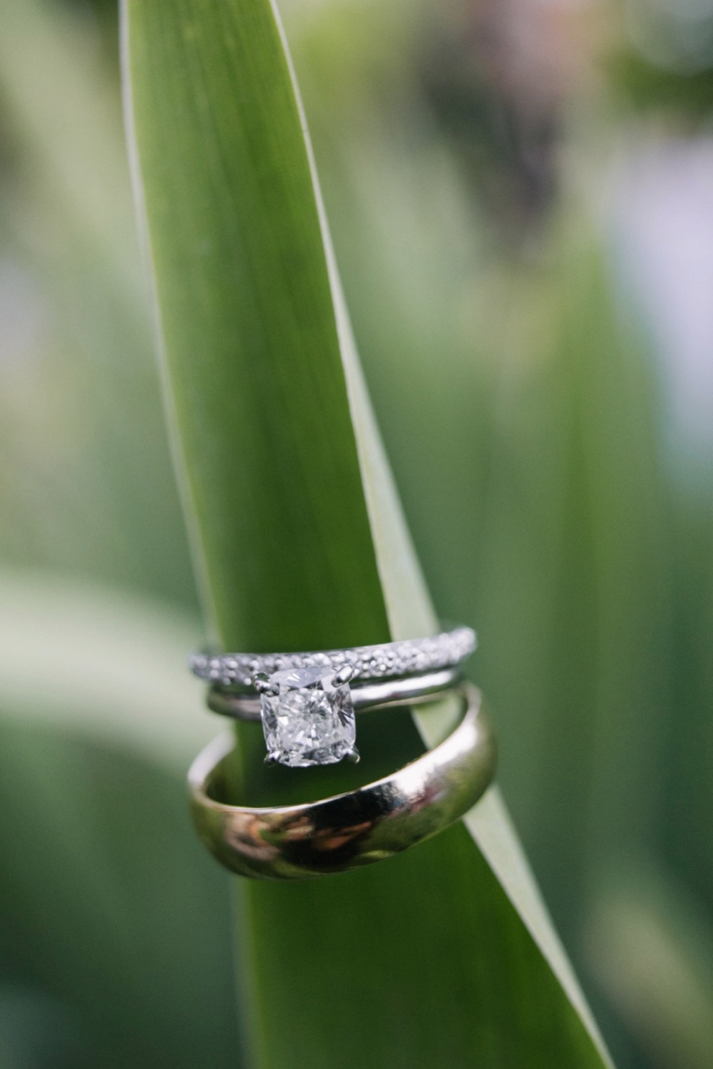 wedding-submission-from-brittney-raine