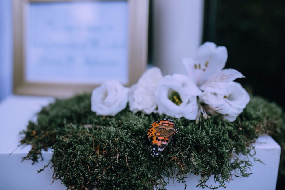 wedding-submission-from-fete-in-france