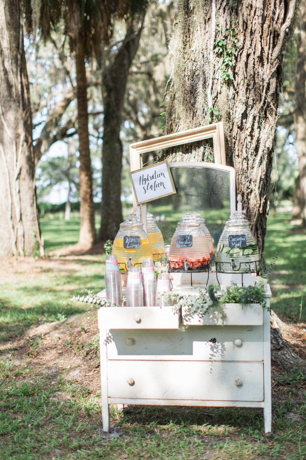 wedding-submission-from-flora-fauna
