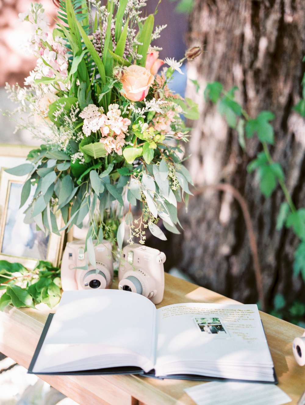 wedding-submission-from-gabriela-ines