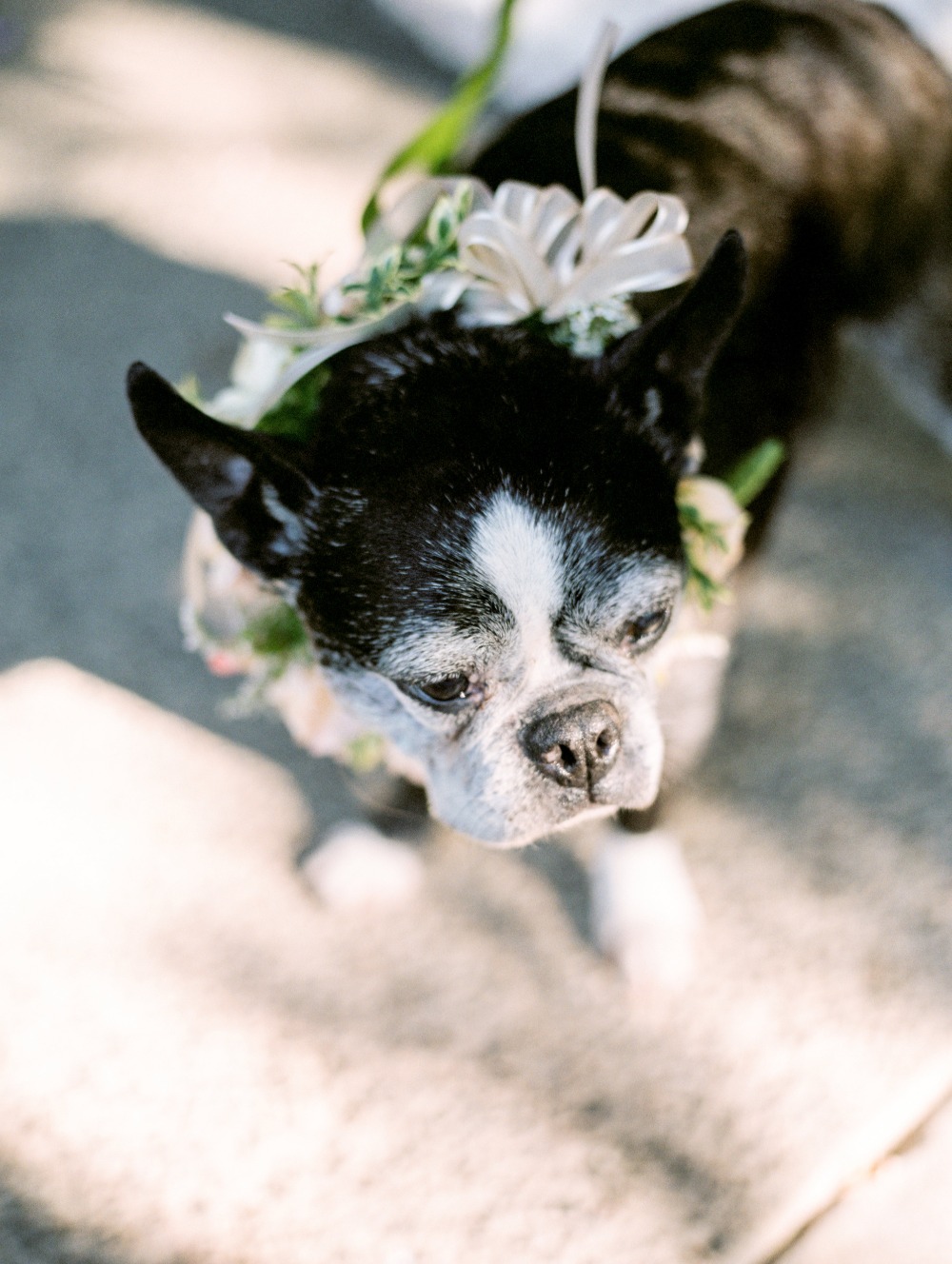wedding-submission-from-gabriela-ines