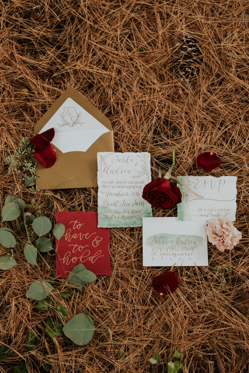 wedding-submission-from-lace-amp