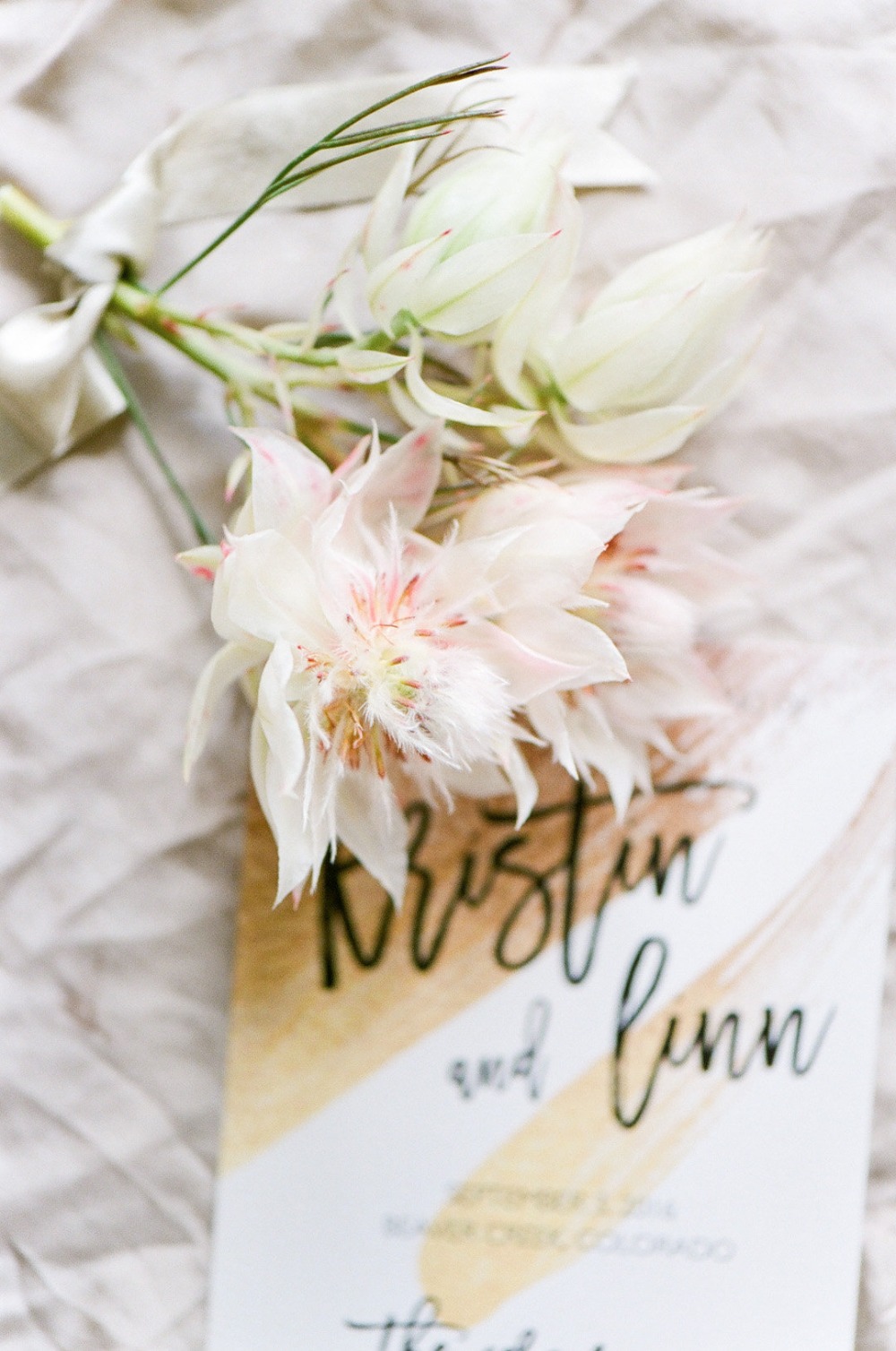 wedding-submission-from-tamara-gruner