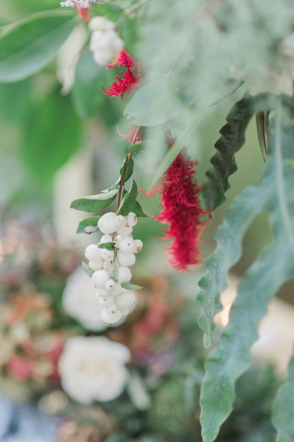 wedding-submission-from-vicki-bartel
