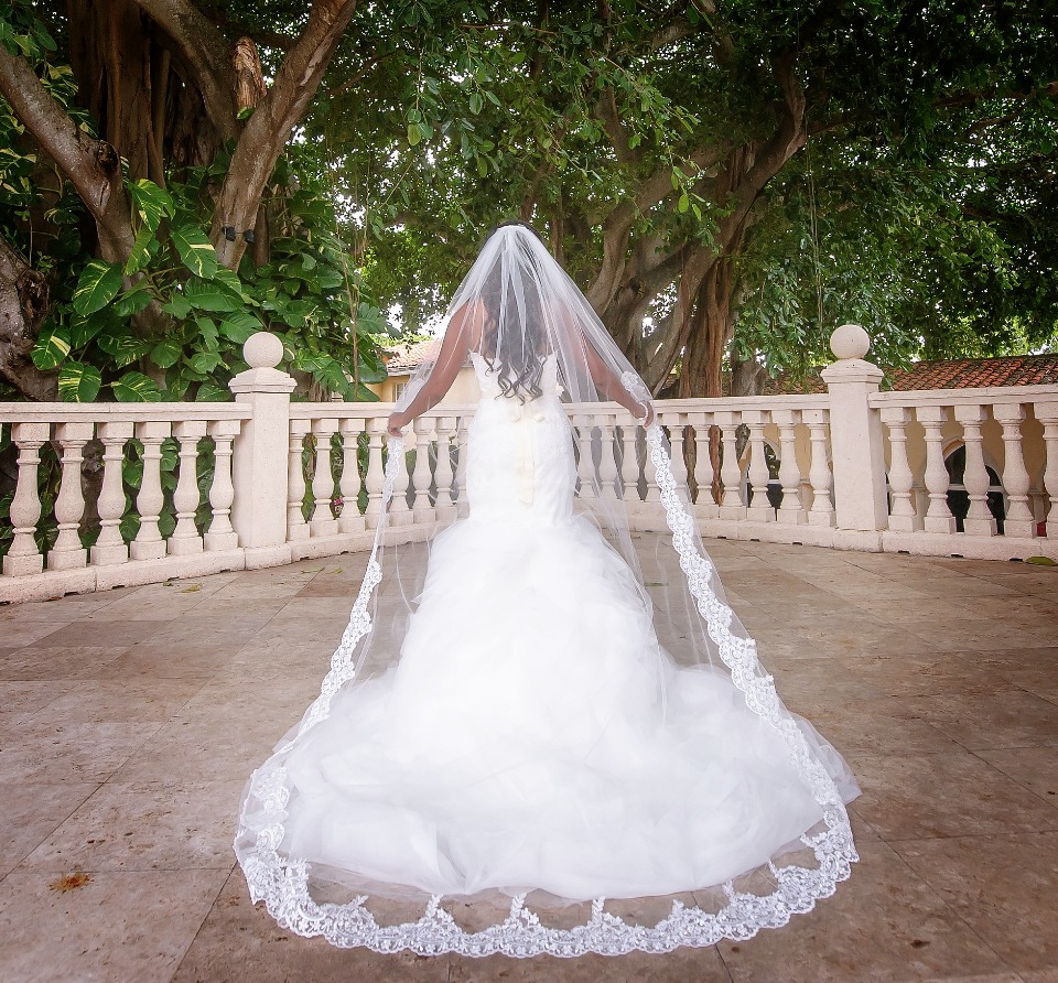 Gorgeous veils for under $100 from Blanca Veils