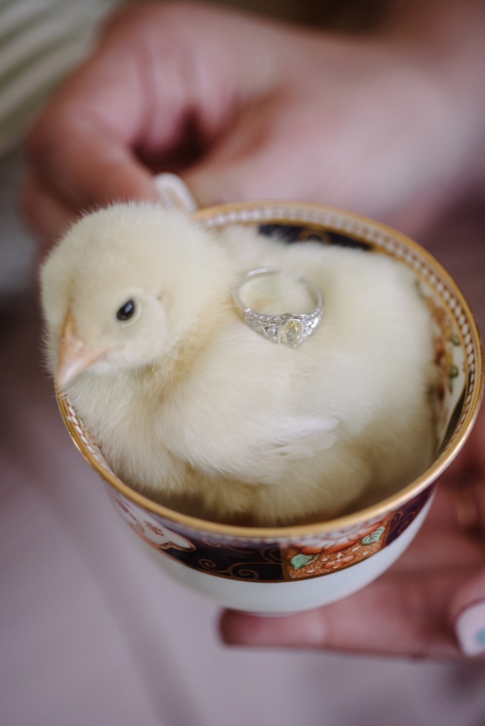 dainty-pastel-easter-brunch-ideas
