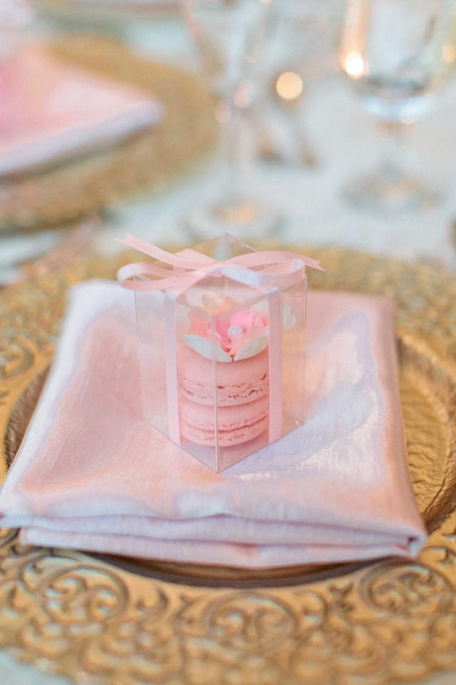 Blush Macarons favor for guests
