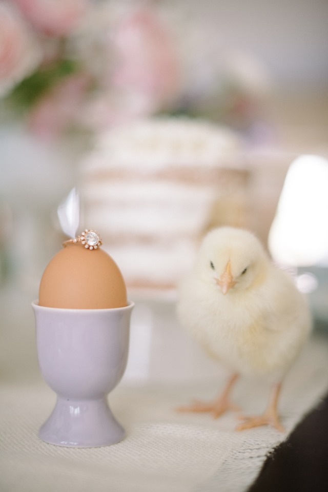 Pretty engagement ring and cute chick