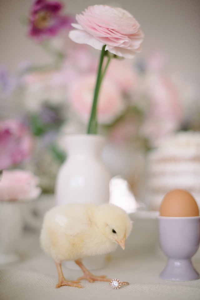 Easter chick and engagement ring