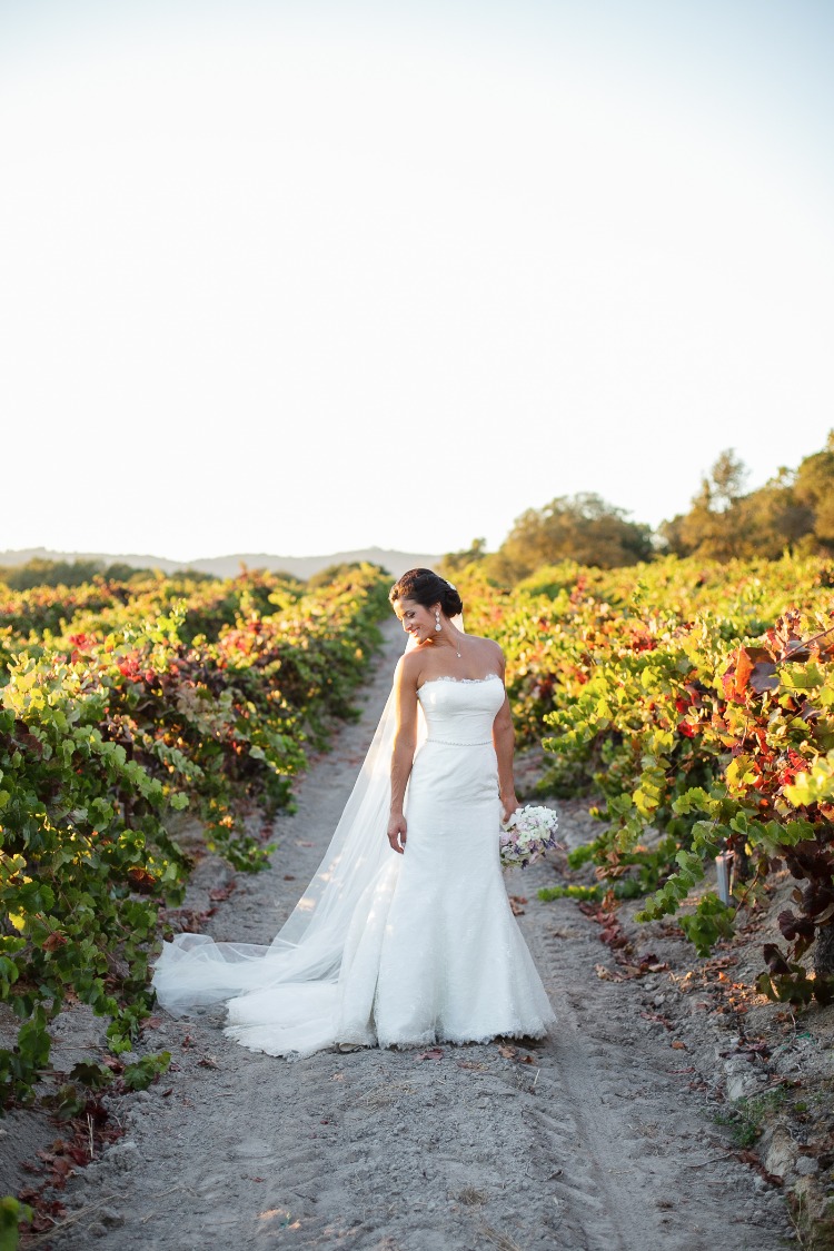 Romantic Jewel Toned Vineyard Wedding