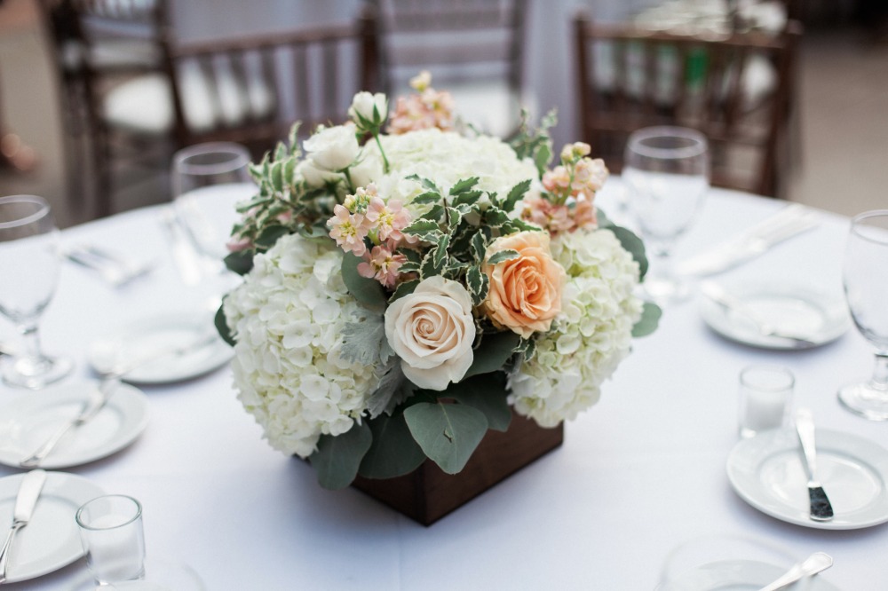 wedding-submission-from-danielle-bacon