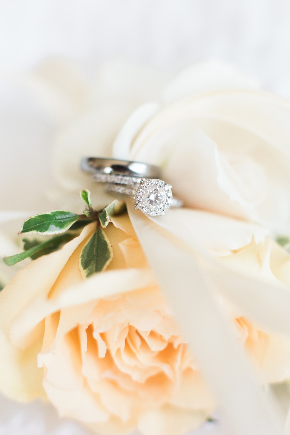 wedding-submission-from-danielle-bacon