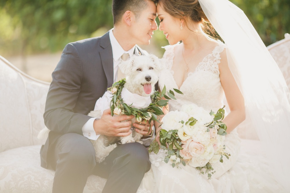 wedding-submission-from-kristen-booth