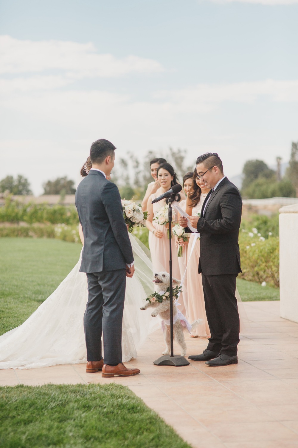 wedding-submission-from-kristen-booth