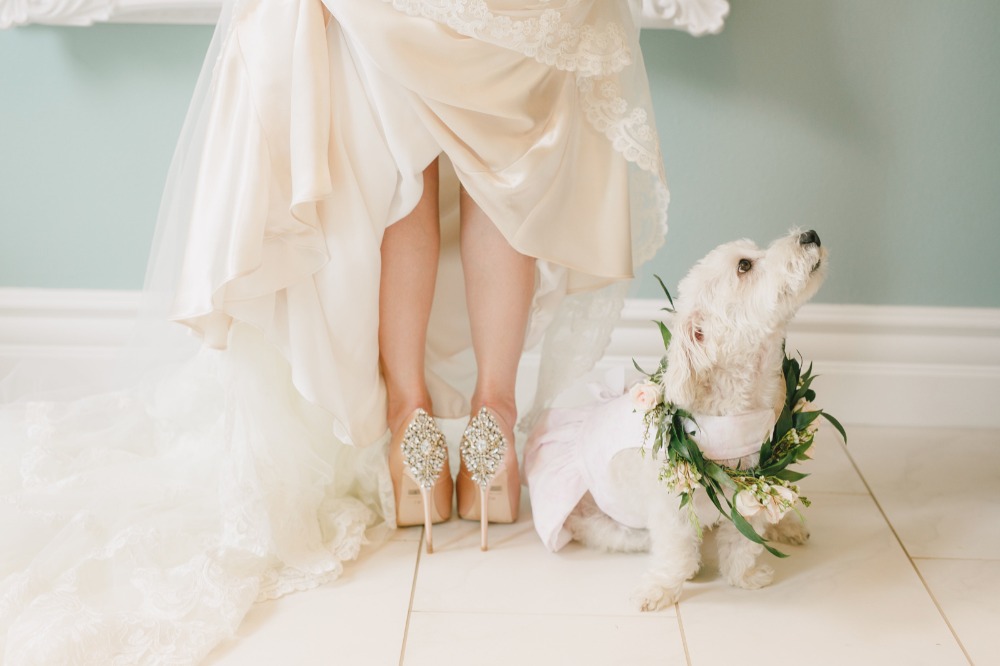 wedding-submission-from-kristen-booth