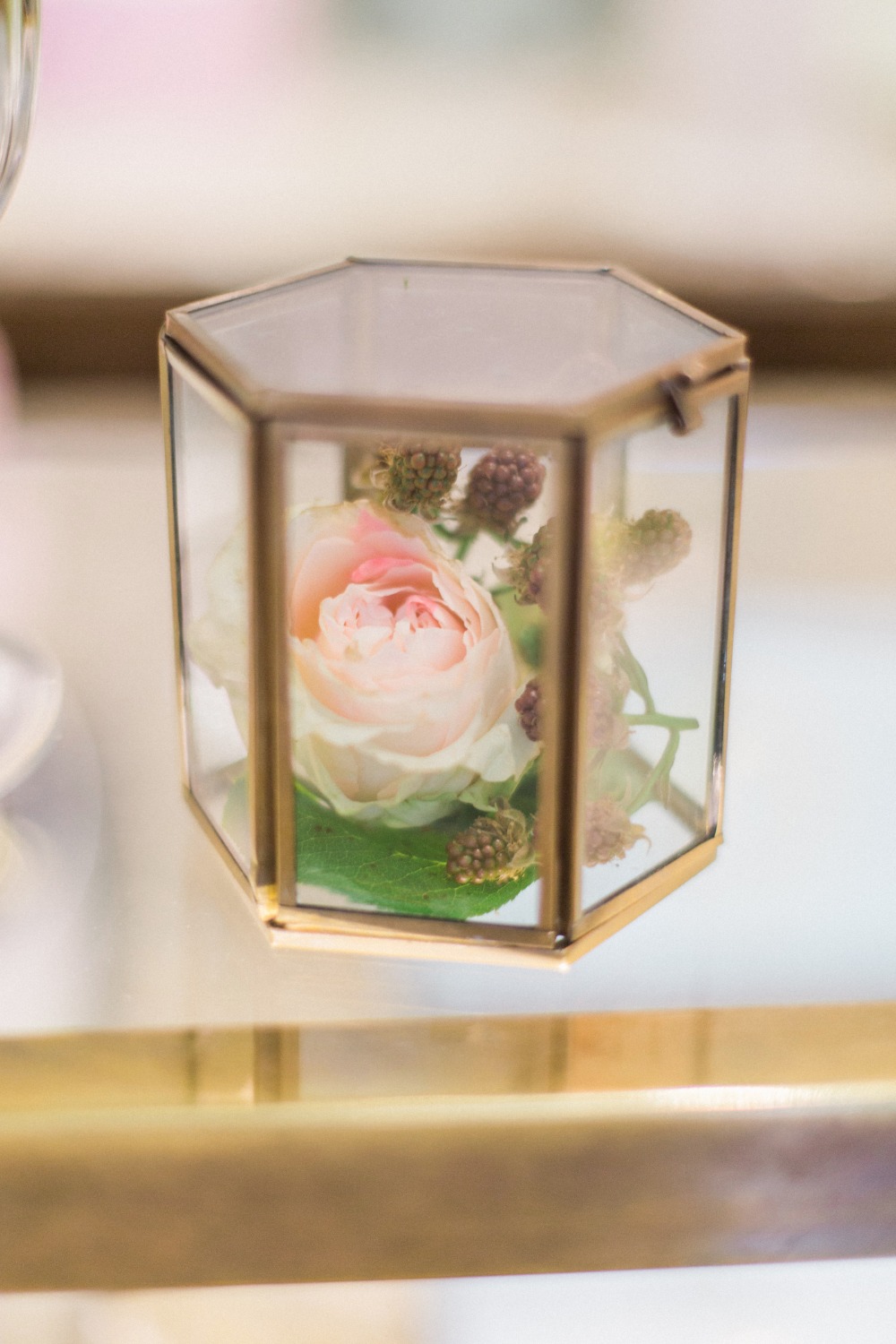wedding-submission-from-lucia-ferretti