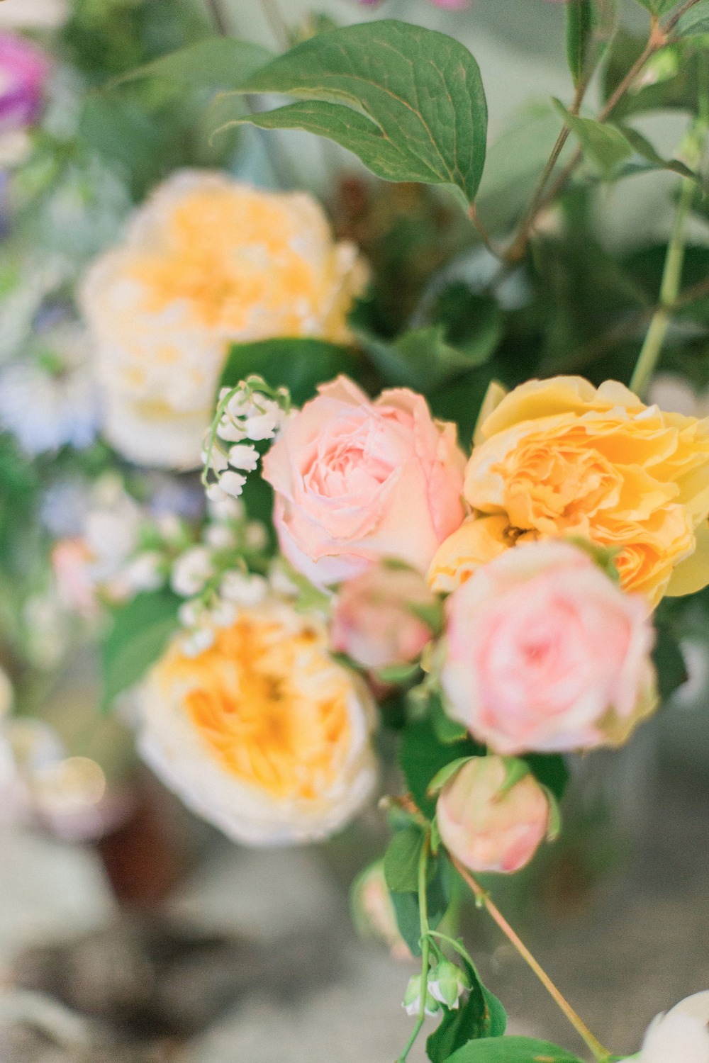 wedding-submission-from-lucia-ferretti