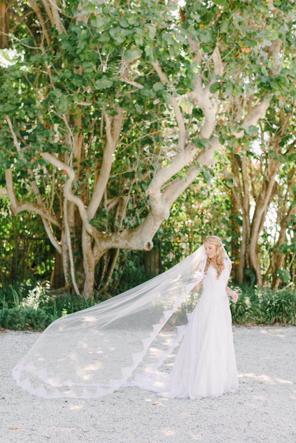 wedding-submission-from-sara-donley