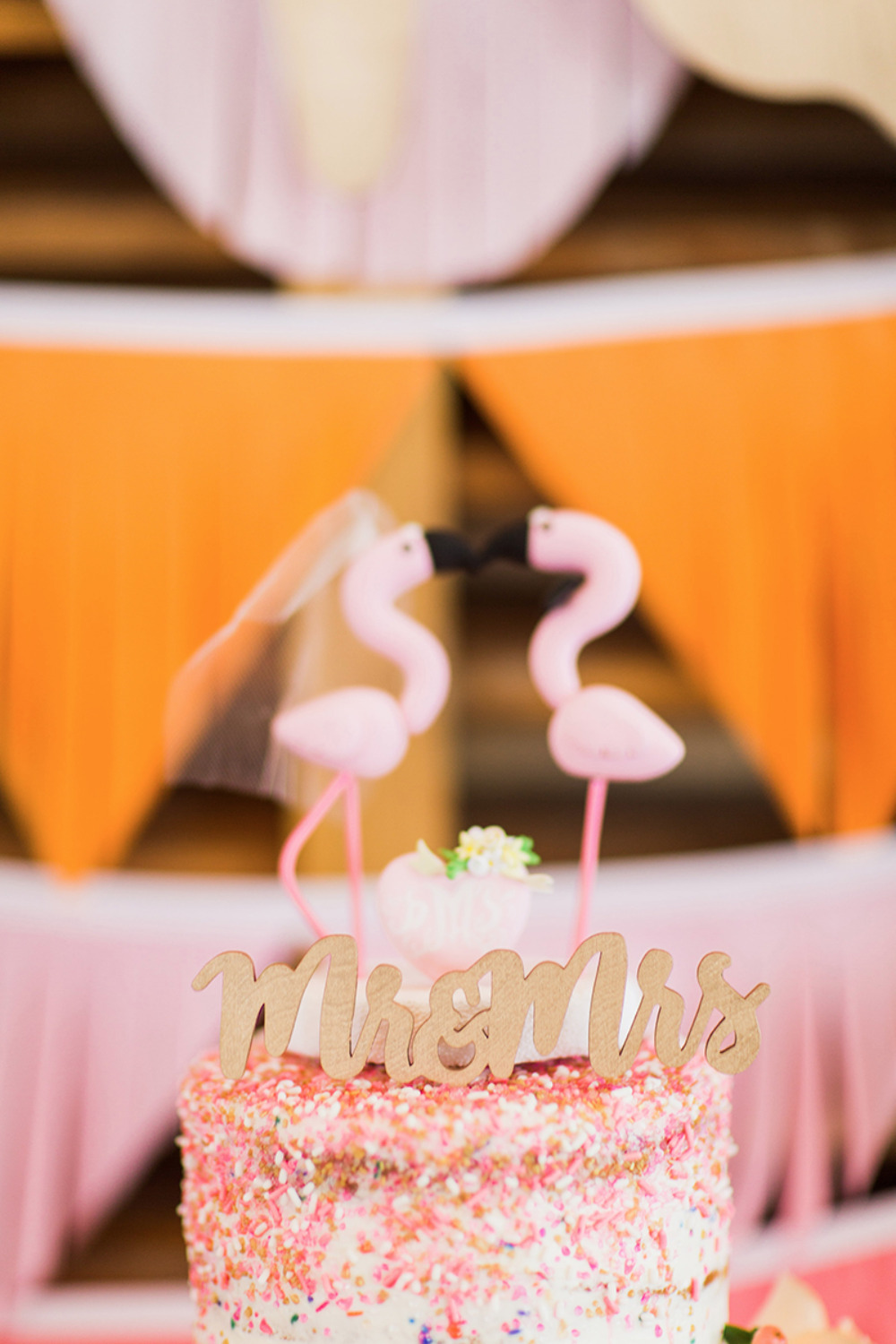 wedding-submission-from-shaina-and