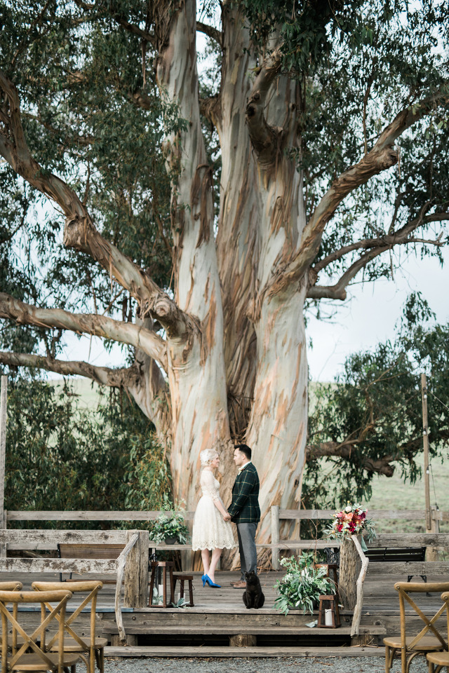 giant tree wedding ceremony venue