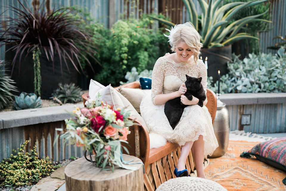 every wedding is better with a cat