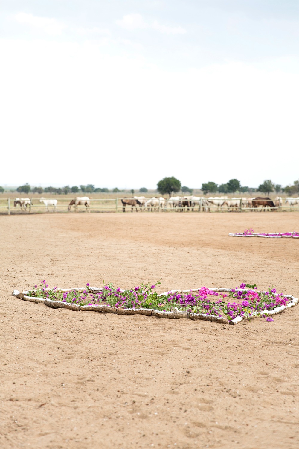 rustic-family-built-ranch-wedding-day