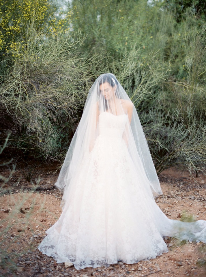 elegant Jim Hjelm wedding gown and veil