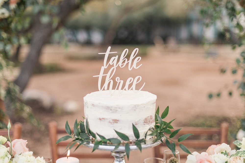 wedding-submission-from-allison