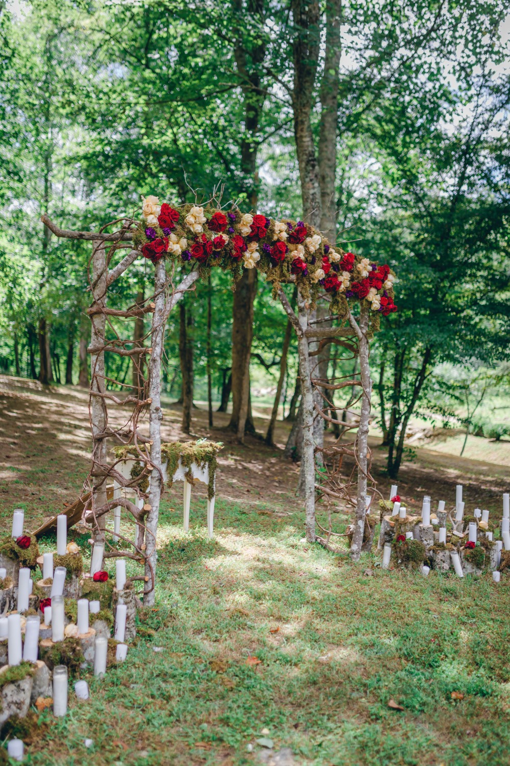 wedding-submission-from-amber-herendon
