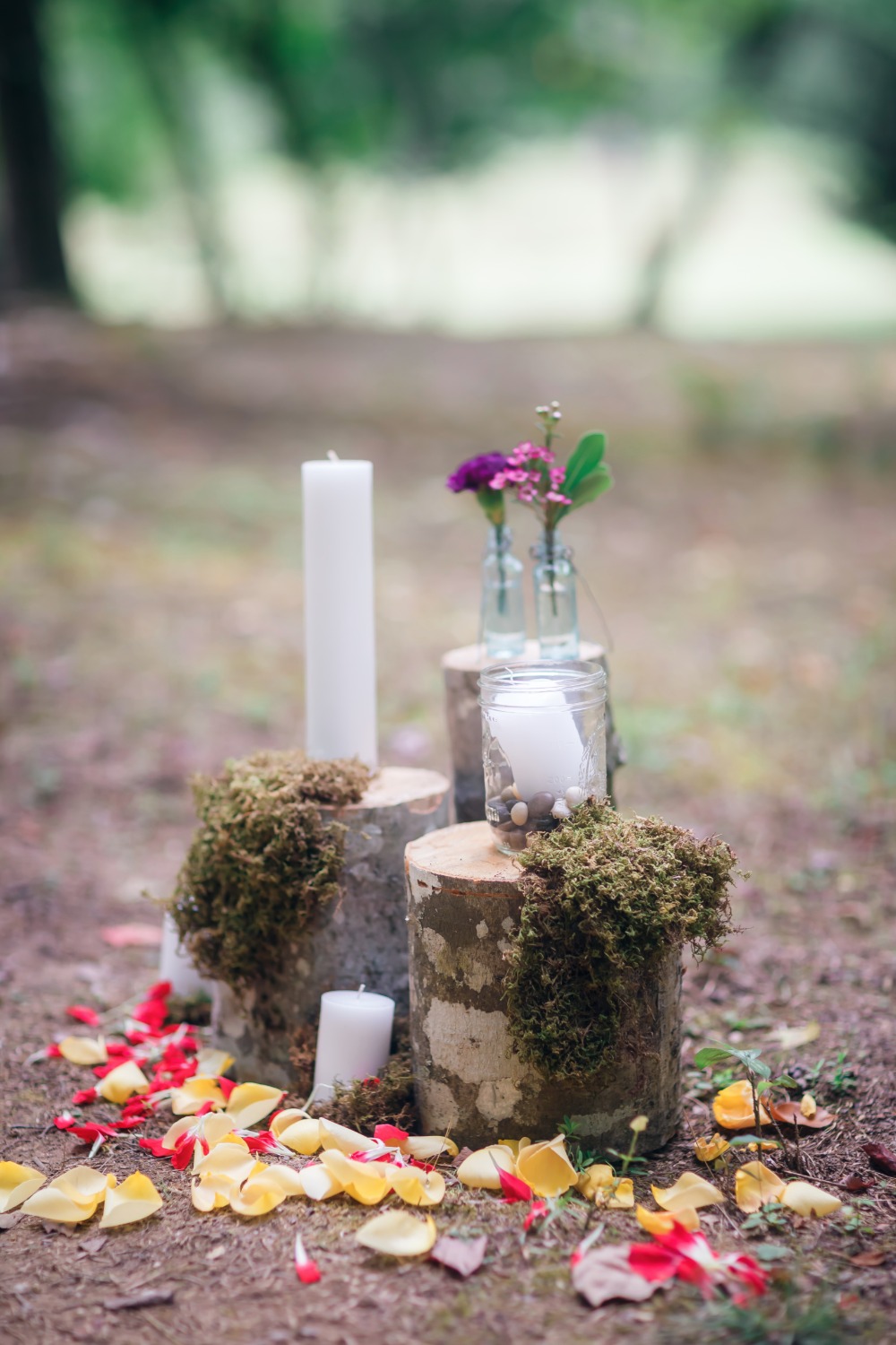 wedding-submission-from-amber-herendon