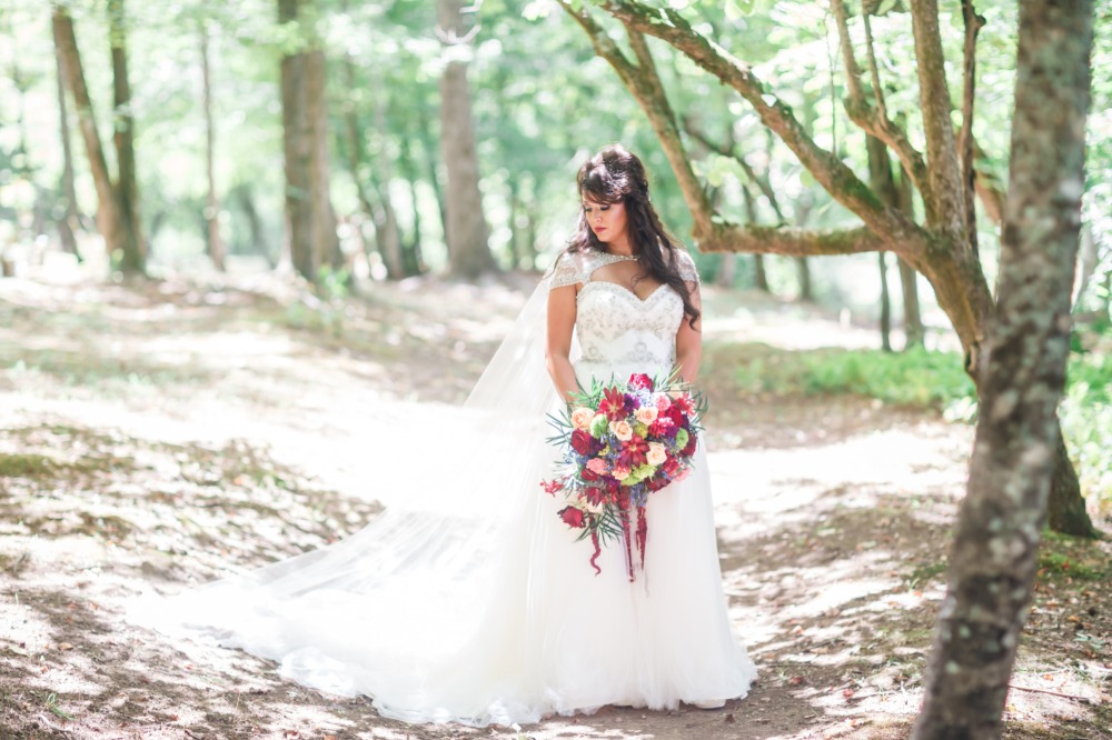 wedding-submission-from-amber-herendon
