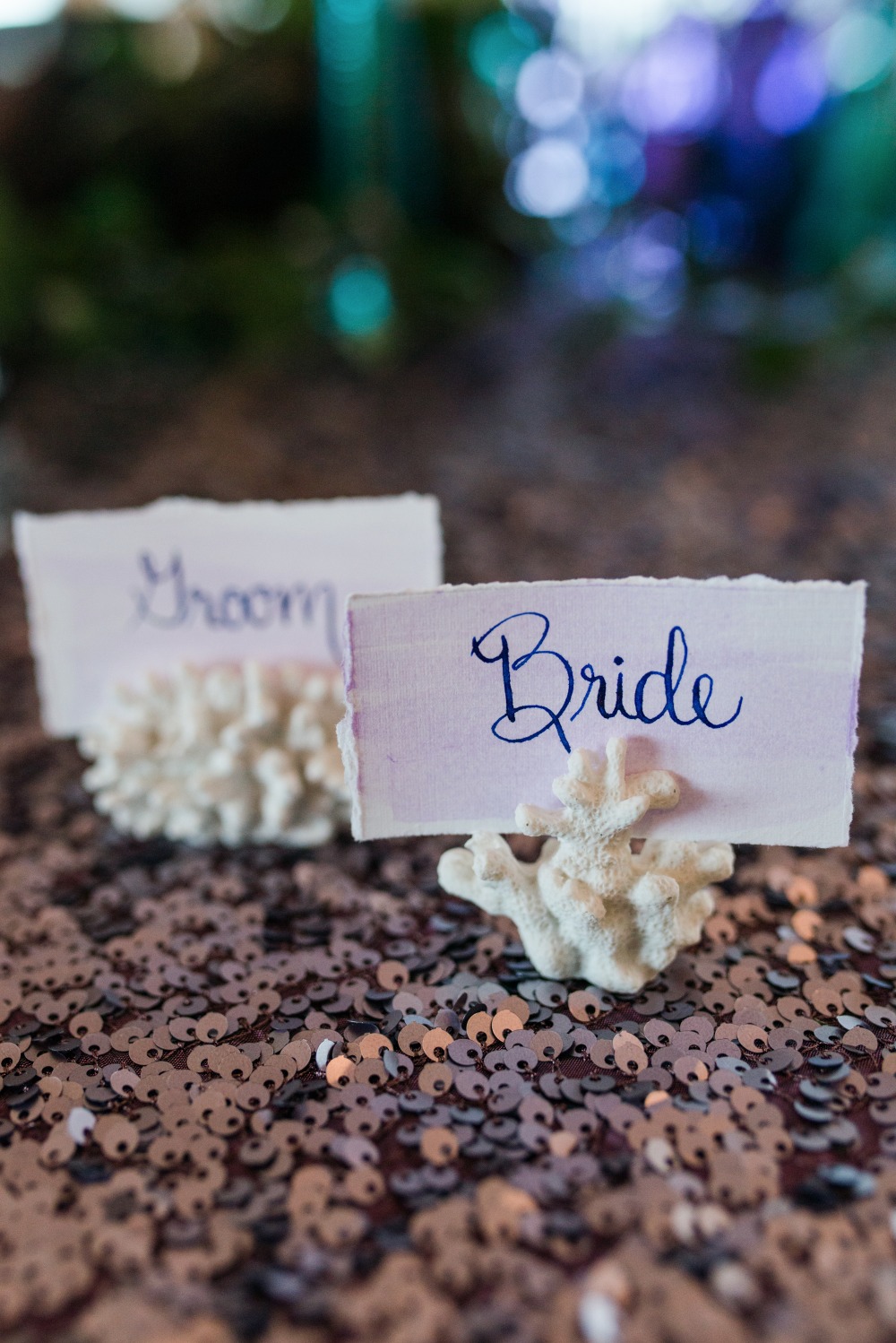 wedding-submission-from-ashton-kelley