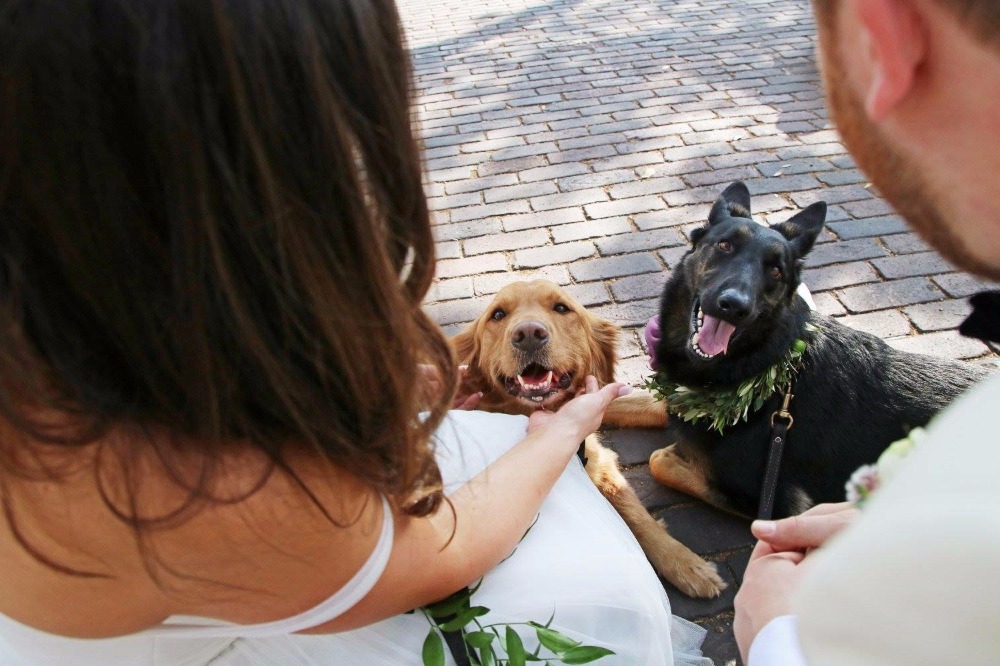 wedding-submission-from-bari-becker