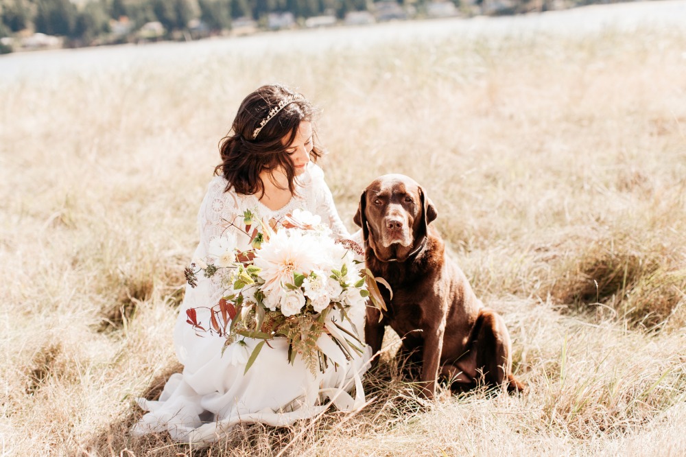 wedding-submission-from-catie-coyle