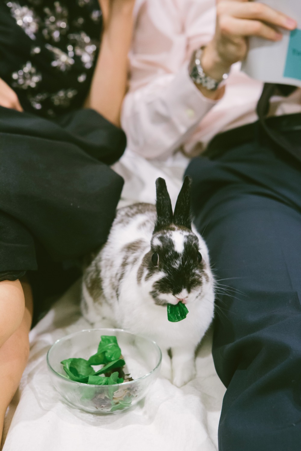 wedding-submission-from-cynthia-chung