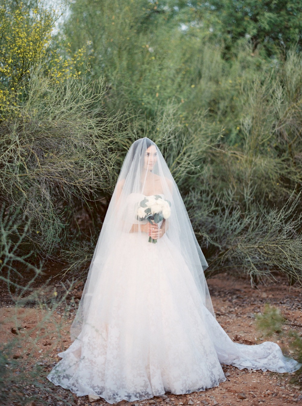 wedding-submission-from-joshua-aull