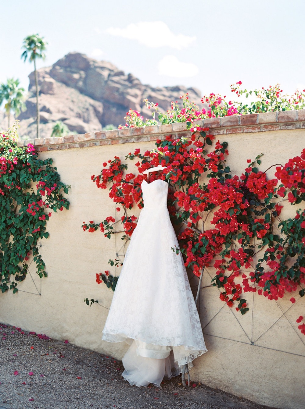 wedding-submission-from-joshua-aull