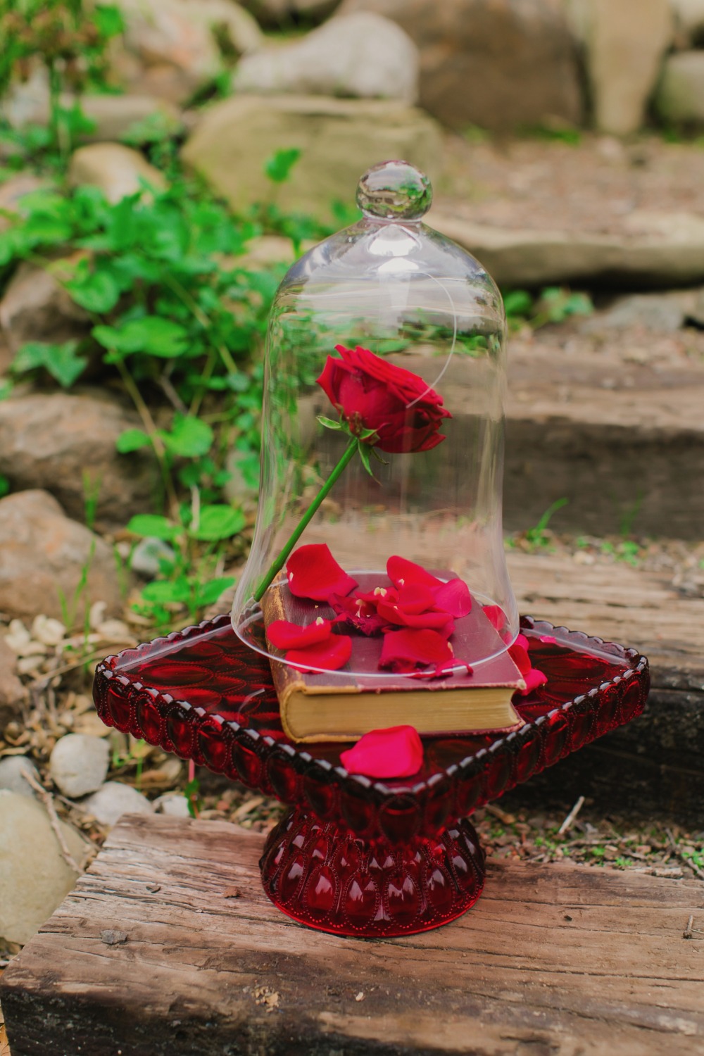 wedding-submission-from-littles-n