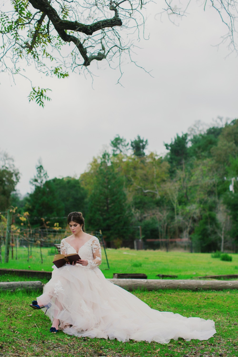 wedding-submission-from-littles-n
