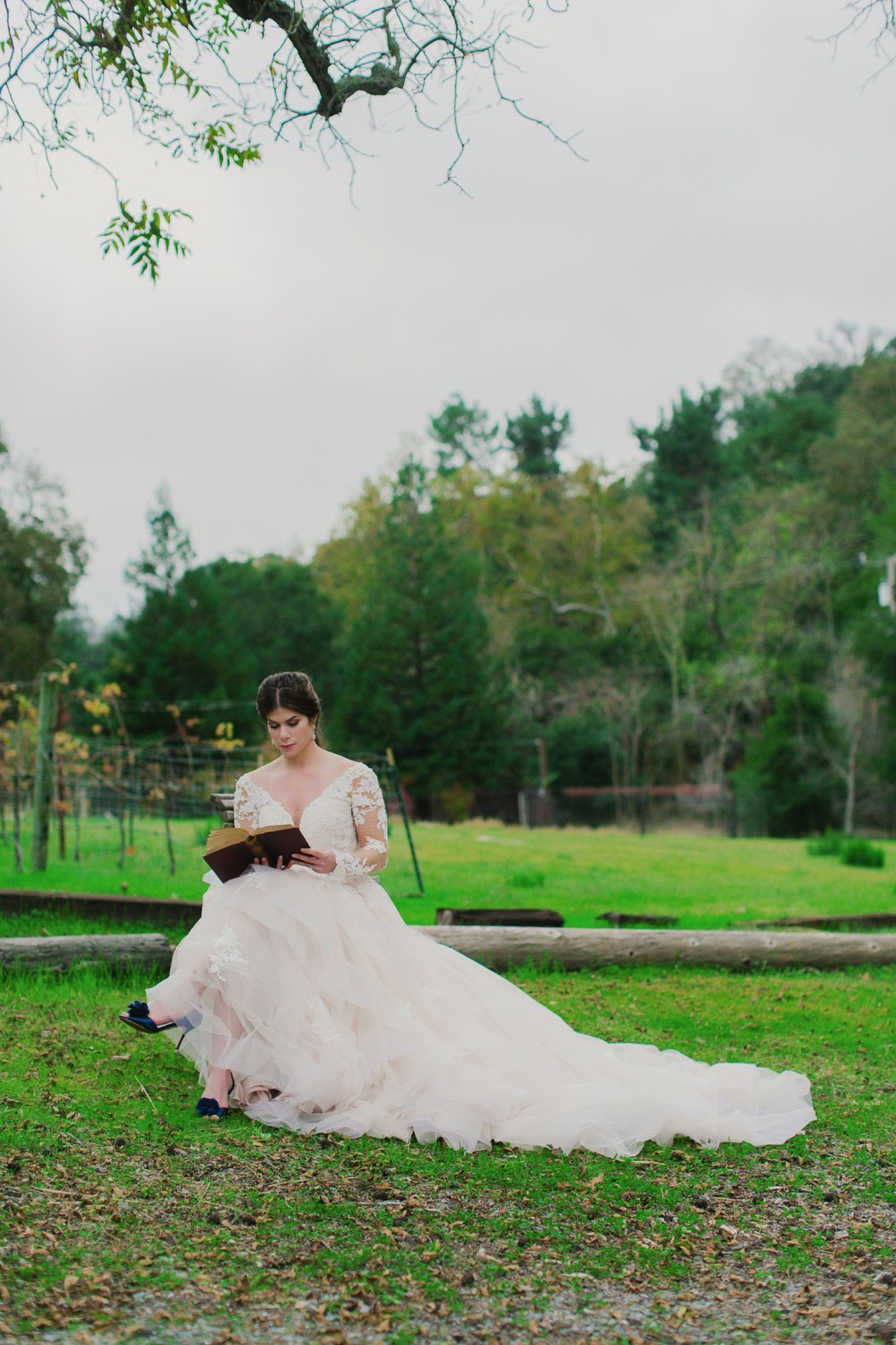 wedding-submission-from-littles-n