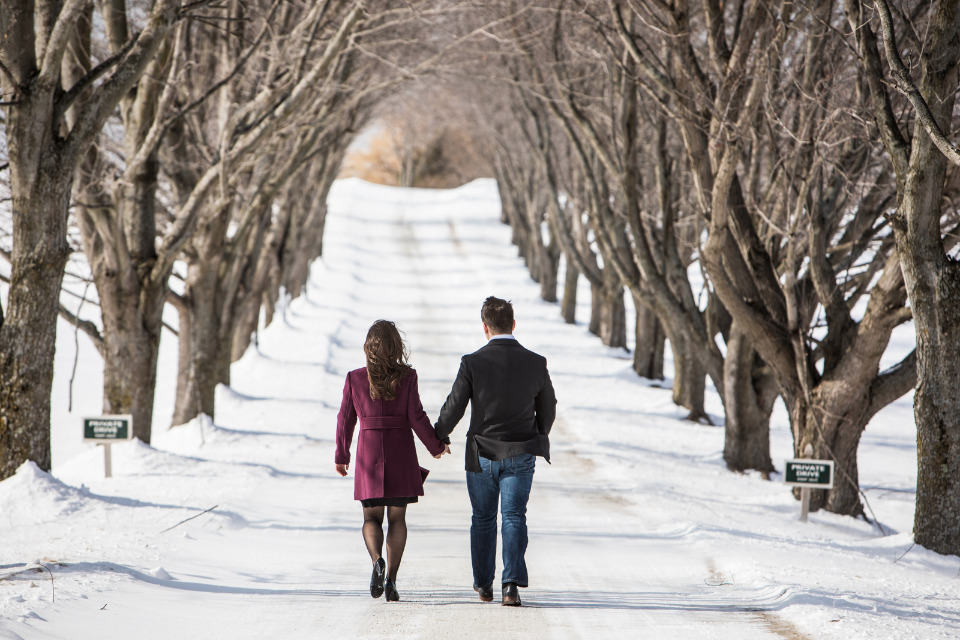 winter tree tunnel engagement session