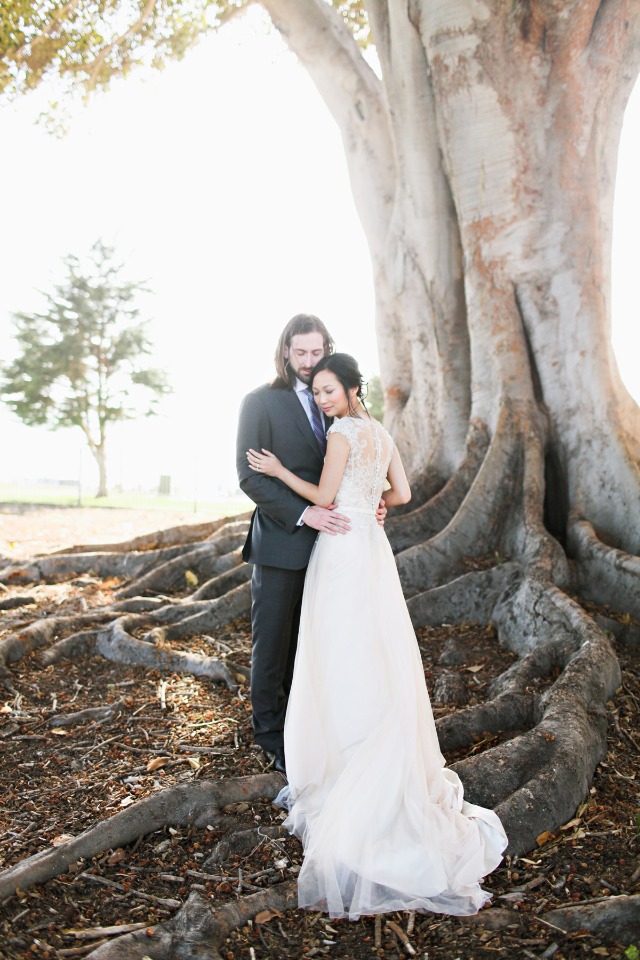 love under a giant tree