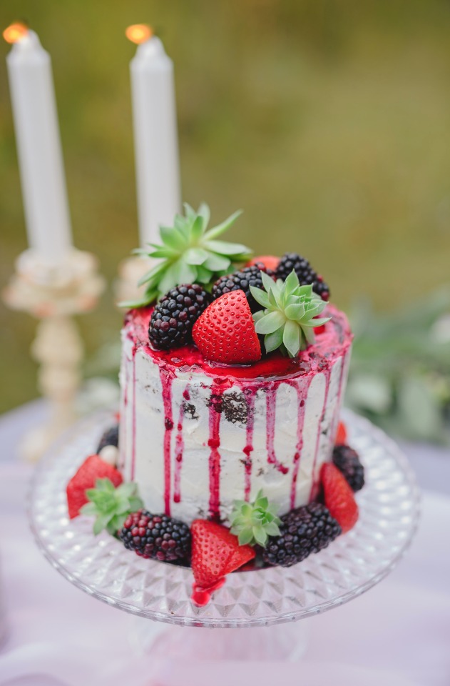 mini cake topped with berries and mini succulents