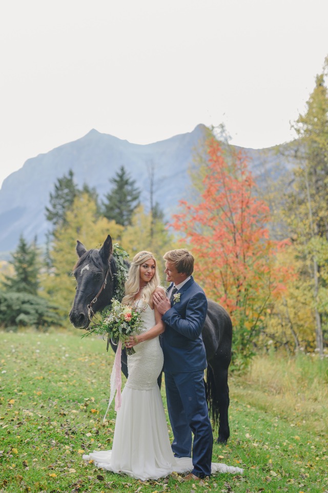 bride groom and a black wedding horse