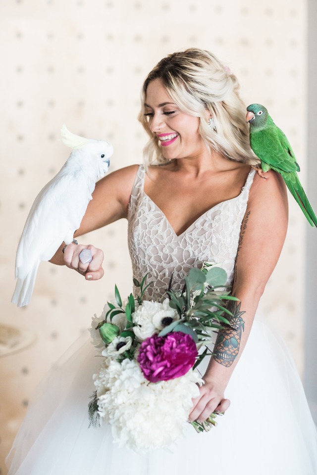 Bride and parrots