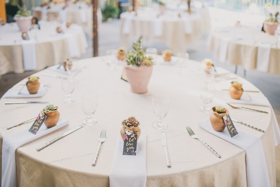 Simple table setting with potted succulent favors