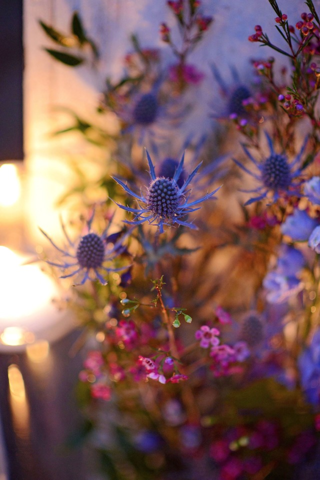 thistle and wax flower floral decor