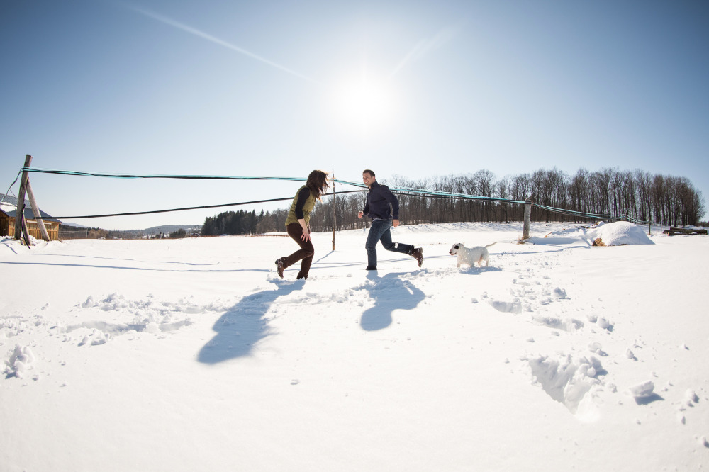 walking-in-a-winter-wonderland-with-a