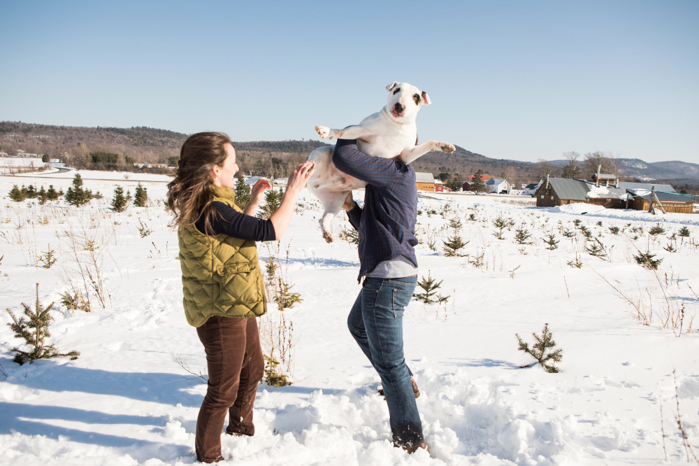 walking-in-a-winter-wonderland-with-a