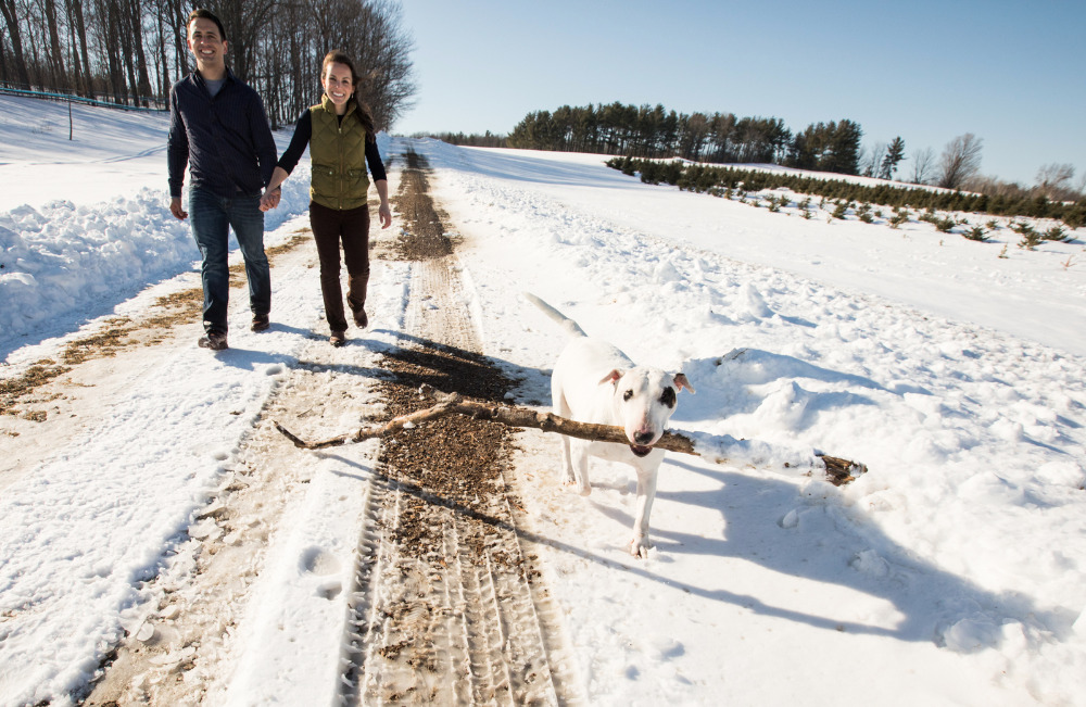 walking-in-a-winter-wonderland-with-a